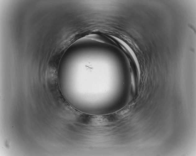 X0000099470521200805091550