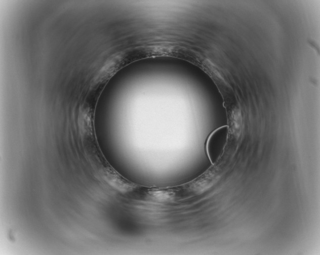 X0000099470522200805091550