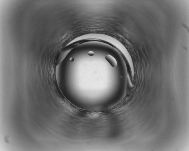 X0000099470523200805091550