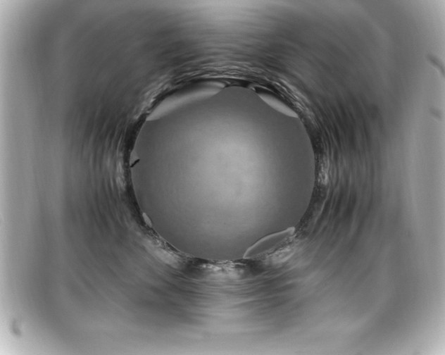 X0000099470524200805091550