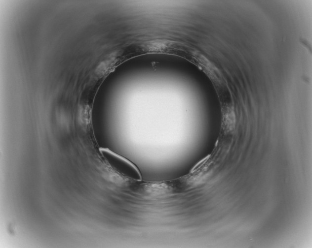 X0000099470525200805091550