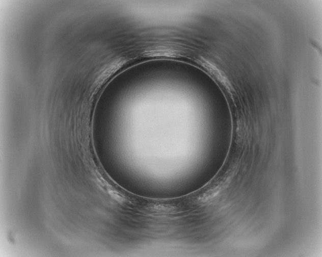 X0000099470529200805091549
