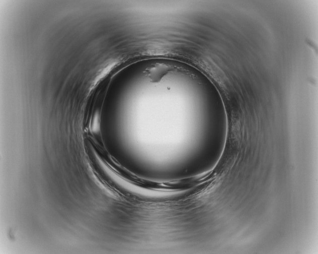 X0000099470530200805091549