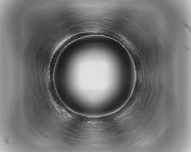 X0000099470532200805091549