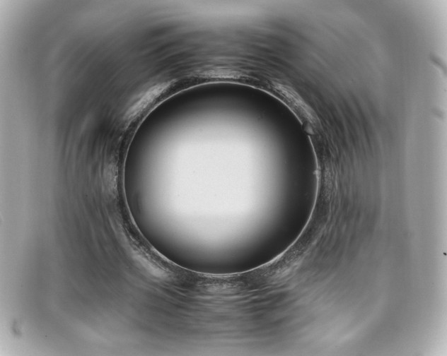 X0000099470533200805091549