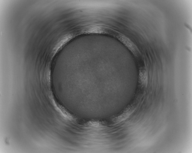 X0000099470534200805091549