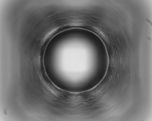 X0000099470535200805091549