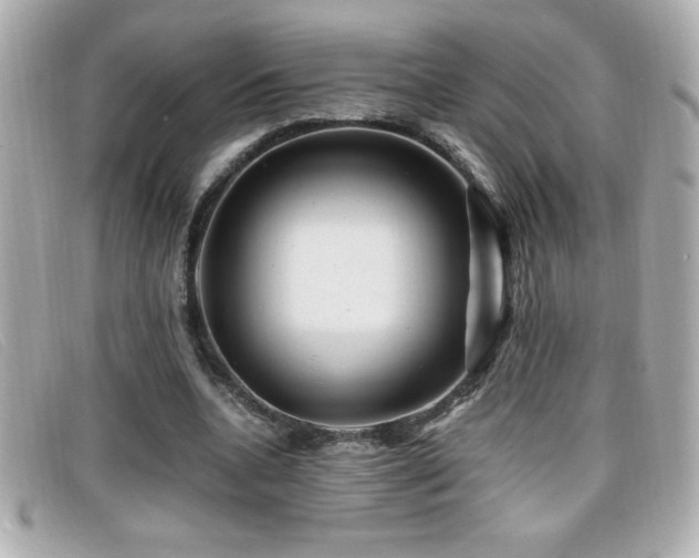 X0000099470536200805091549