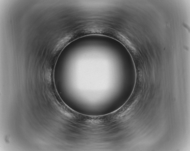 X0000099470537200805091549