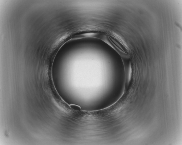 X0000099470538200805091549