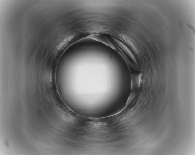 X0000099470539200805091549