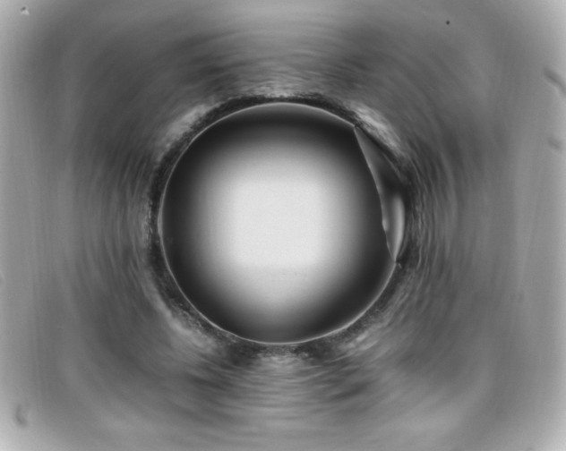X0000099470540200805091549