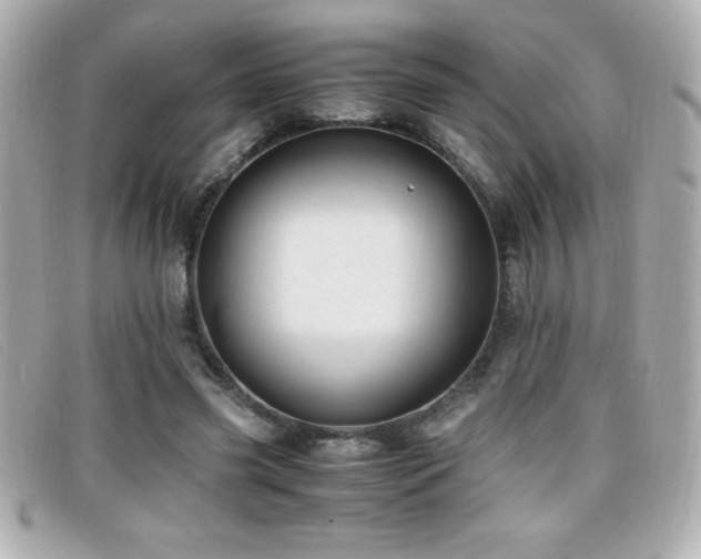 X0000099470541200805091549