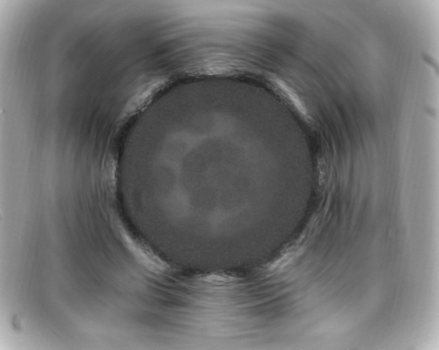 X0000099470542200805091549