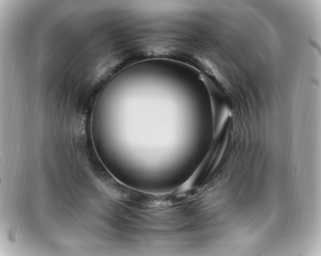 X0000099470543200805091549