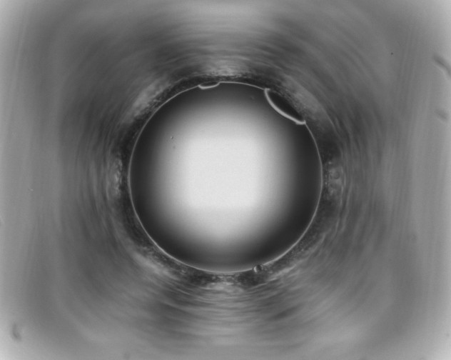 X0000099470544200805091549