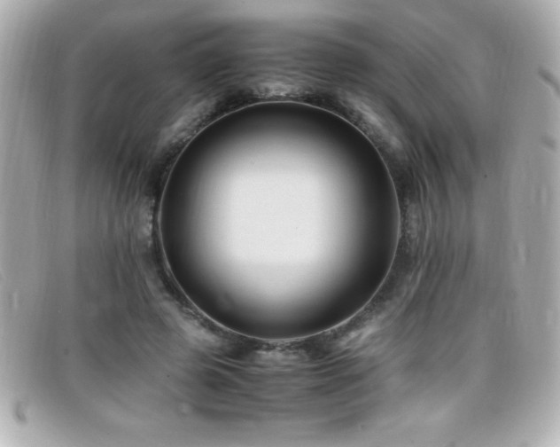 X0000099470545200805091549