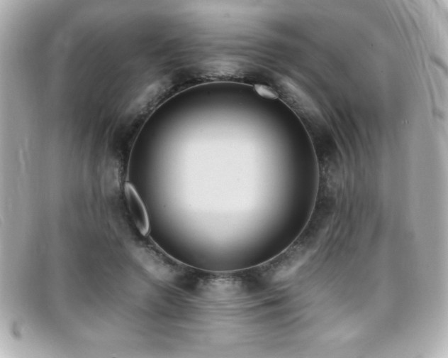 X0000099470546200805091549
