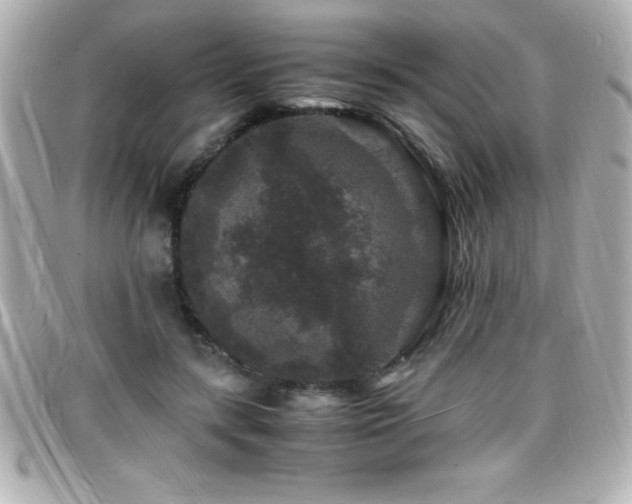 X0000099470547200805091549
