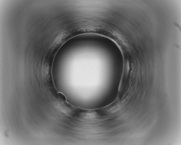 X0000099470548200805091549