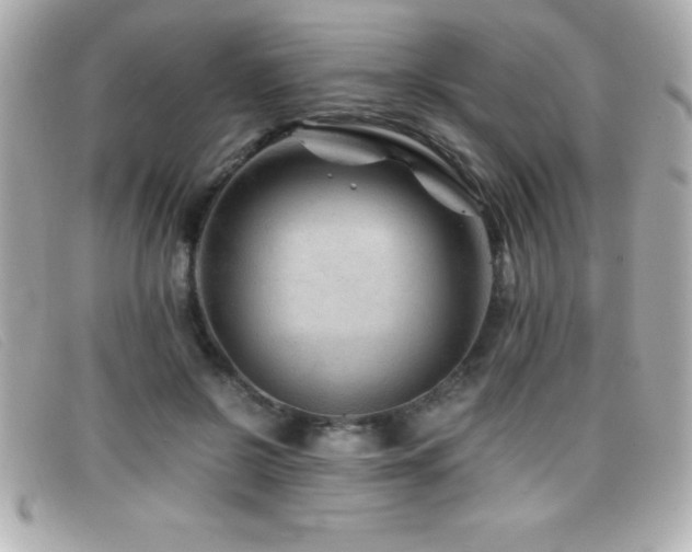 X0000099470550200805091549