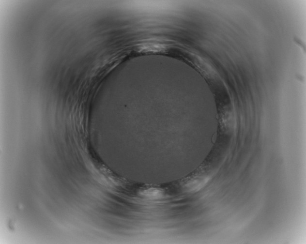 X0000099470551200805091549
