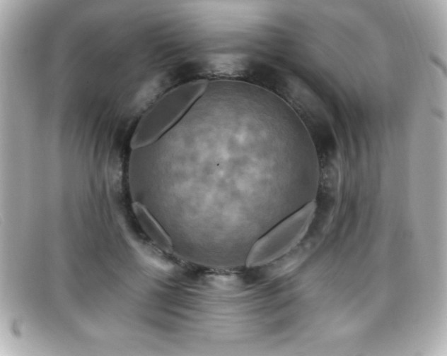 X0000099470552200805091549