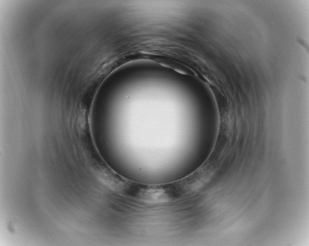 X0000099470554200805091549