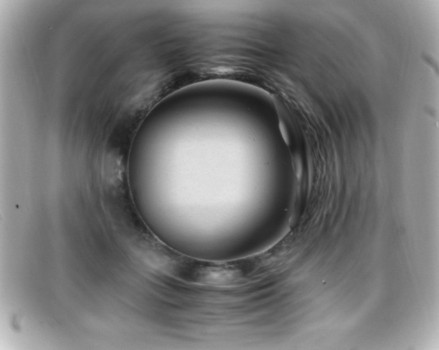 X0000099470555200805091549