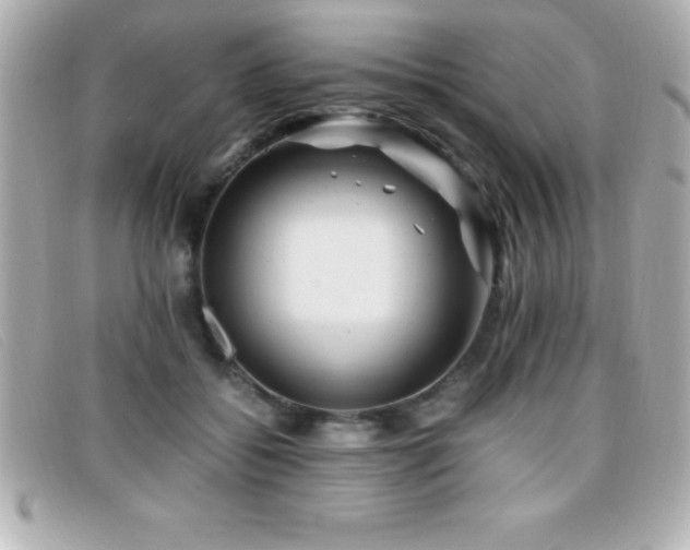 X0000099470556200805091549