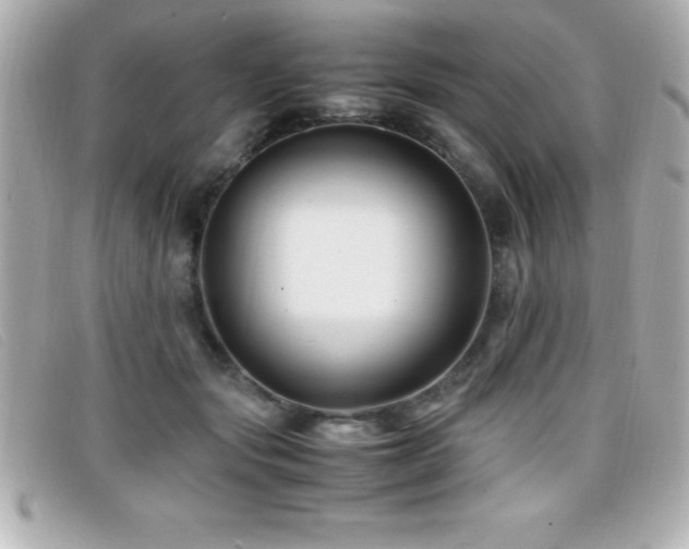 X0000099470557200805091549