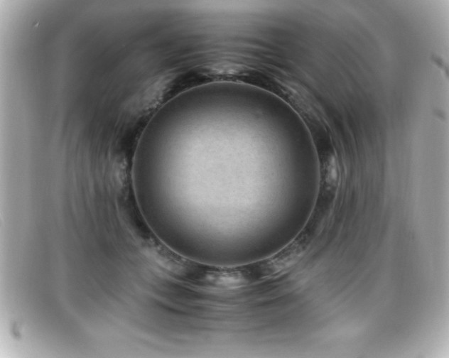 X0000099470559200805091549