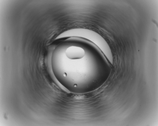 X0000099470560200805091549