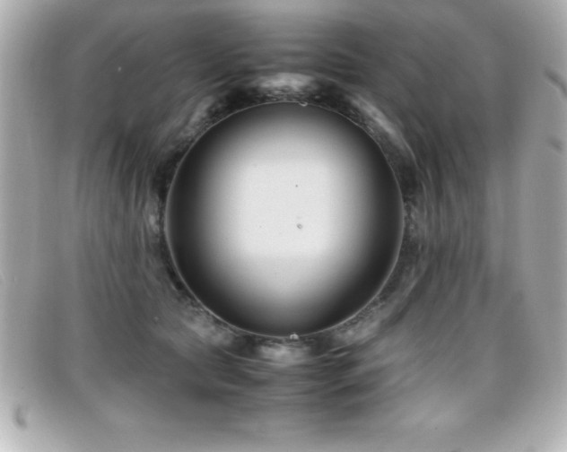 X0000099470561200805091549