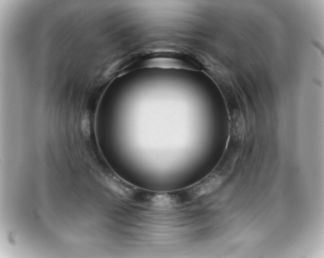 X0000099470562200805091549