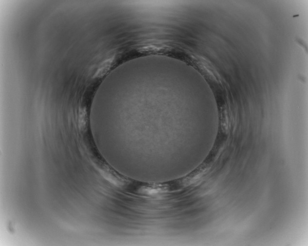 X0000099470563200805091549