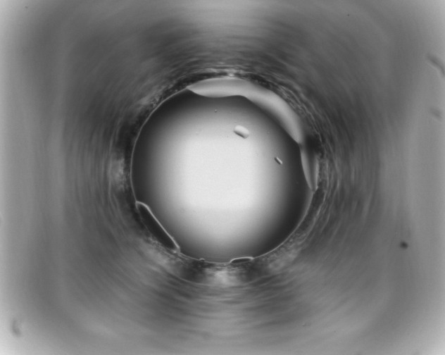 X0000099470564200805091549