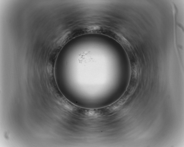 X0000099470565200805091549