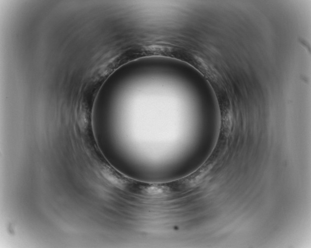 X0000099470566200805091549