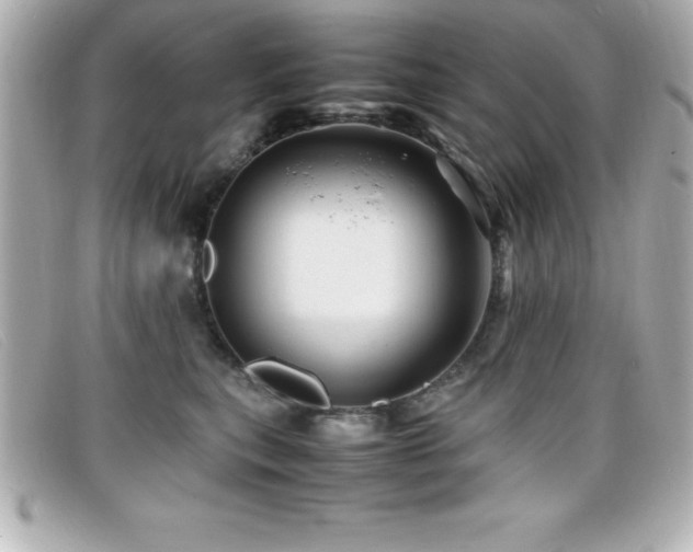 X0000099470567200805091549
