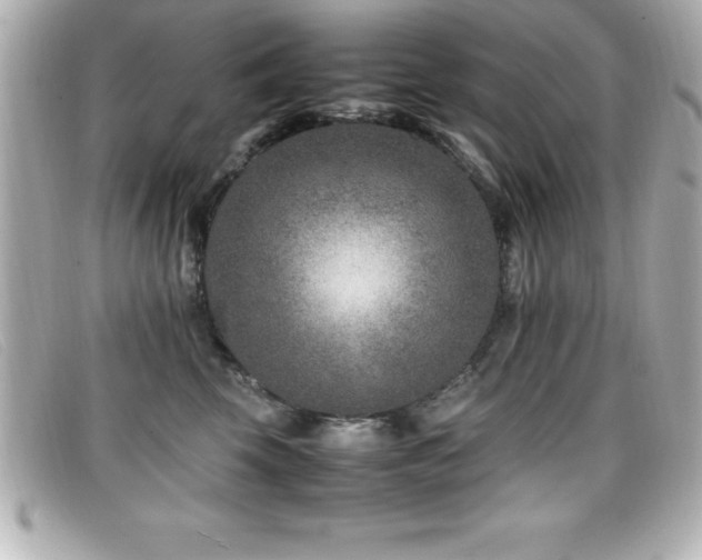 X0000099470569200805091550