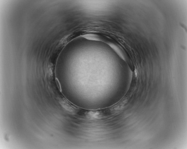 X0000099470570200805091550