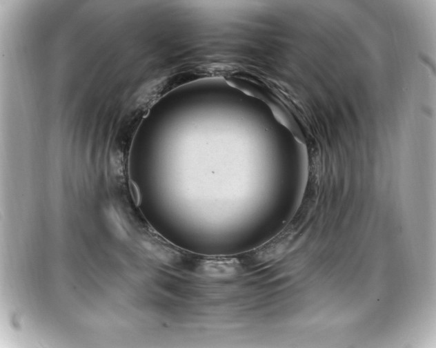 X0000099470571200805091550