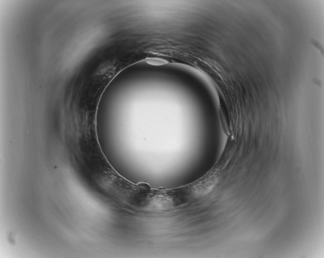 X0000099470572200805091550