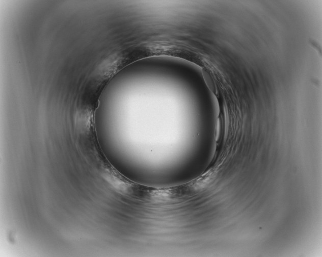 X0000099470574200805091550