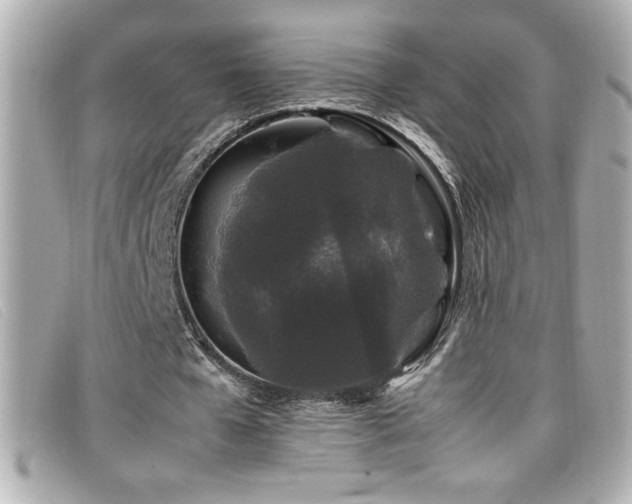 X0000099470577200805091549