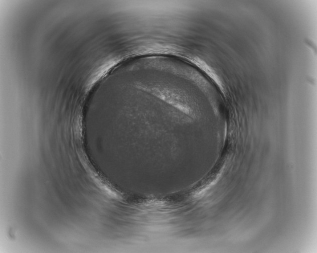 X0000099470581200805091549