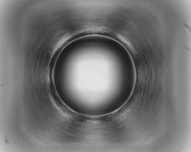 X0000099470582200805091549