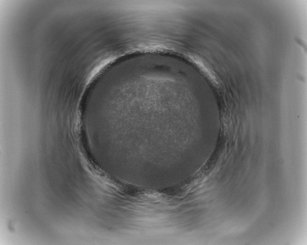 X0000099470583200805091549