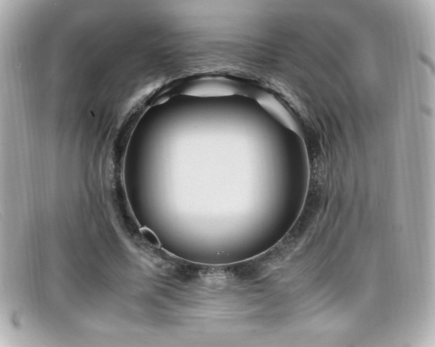 X0000099470587200805091549